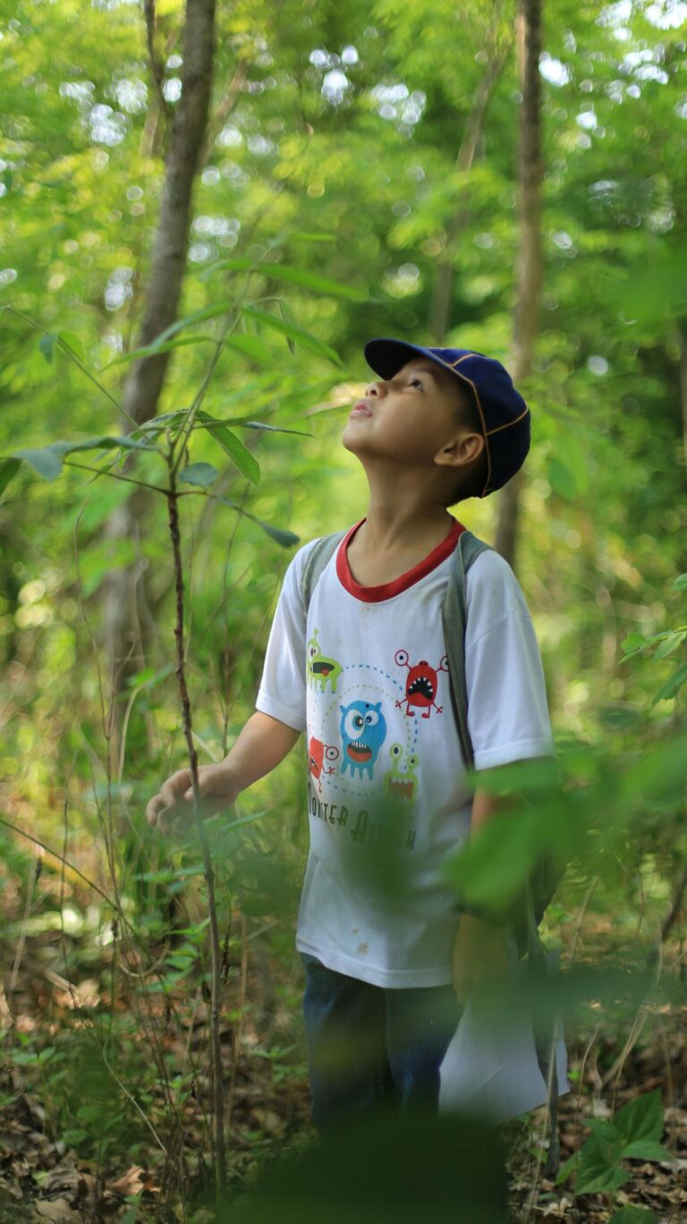Boy looking up at birds in the tree. Pexels picture.