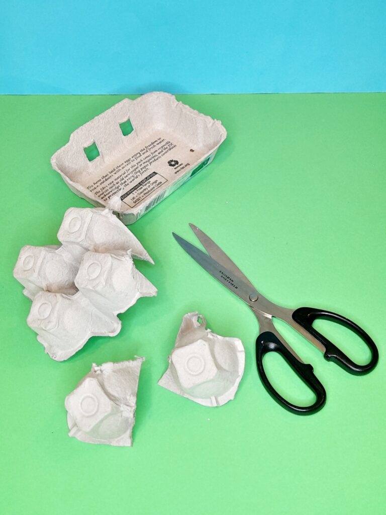 5) Grab egg box and cut out sections that are rounded.