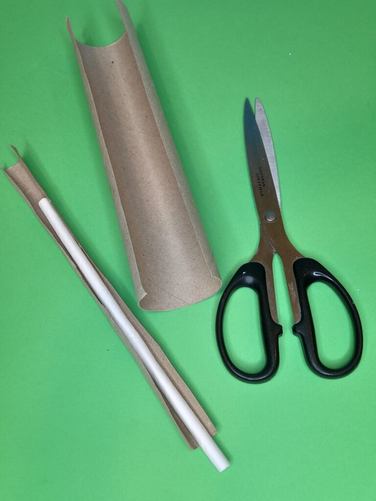 4) Take a long cardboard inner tube, cut into long strips enough to curl around a pencil to get a tube like shape. Compress tightly and paint in green. These will be the stems.