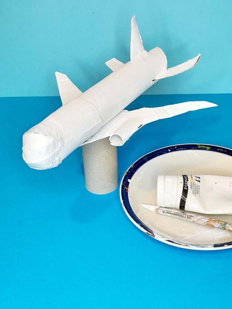 23) Here is the plane in white.