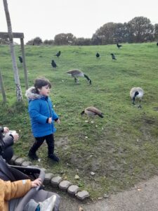 Take a visit to the park and feed the ducks.