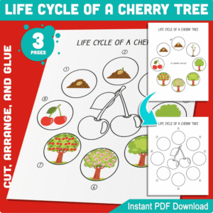 The life cycle of a Cherry Tree PDF file.