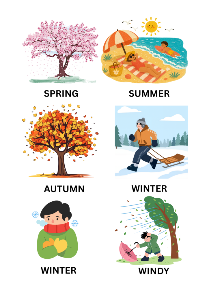 Different seasonal weather